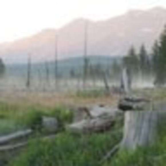 Meet your Posher, Carolyn - Picture 1 of 1